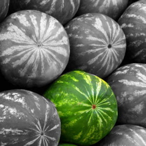 ספצ בשיווק ואסטרטגיה