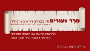 %d7%9e%d7%a8%d7%93-%d7%a0%d7%a2%d7%95%d7%a8%d7%99%d7%9d